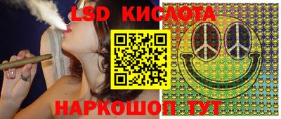 прущие крисы Новодвинск