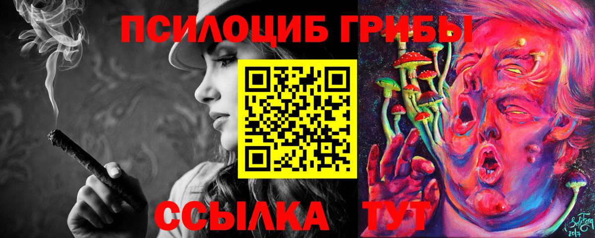 Галлюциногенные грибы Psilocybe  Вход с VPN  Обнинск 