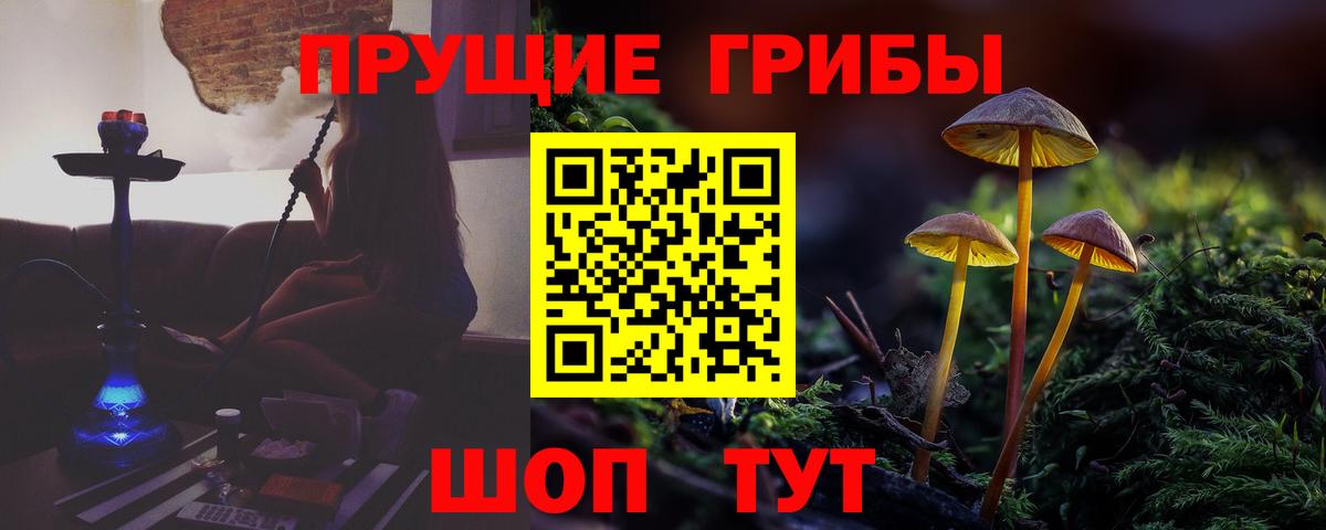 Галлюциногенные грибы Magic Shrooms Обнинск